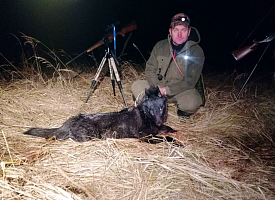 В Лидских угодьях охотники добыли редкого черного волка