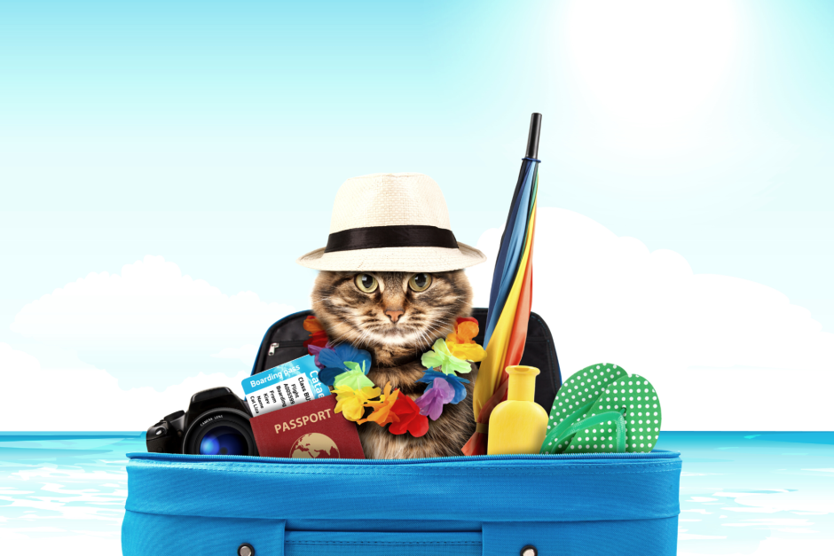 Переезд с животными 8.png