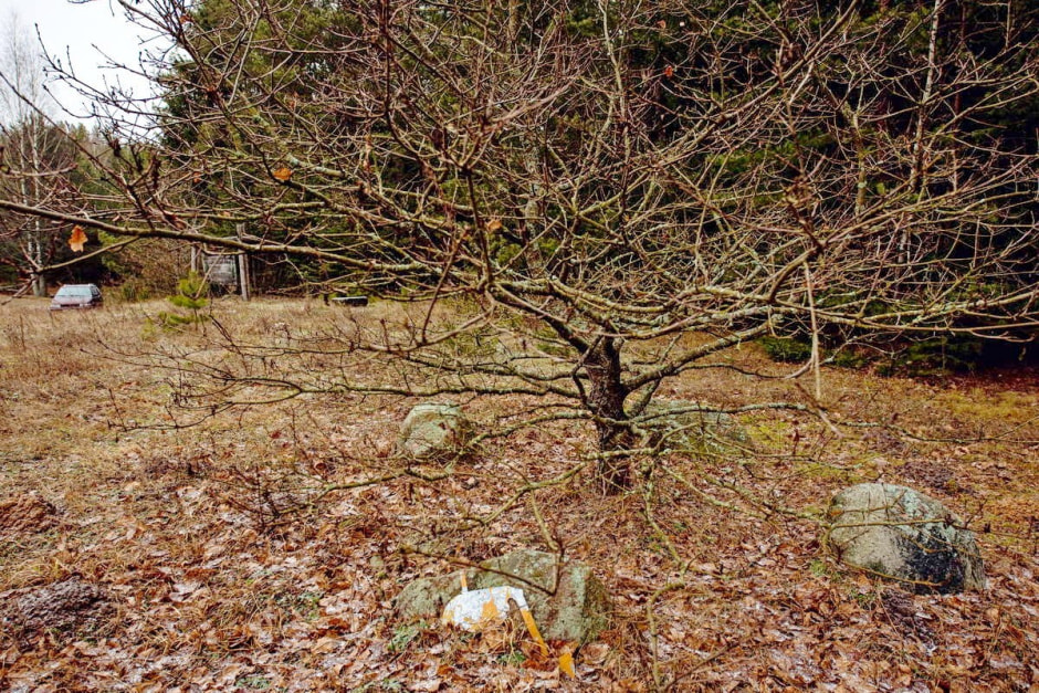 Алесь Лось и народные инструменты 17.jpg