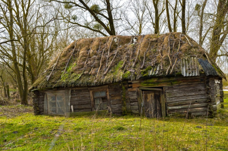 Узнал родословную за 300 лет 6.jpg