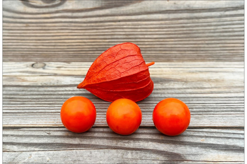 физалис 3.jpg