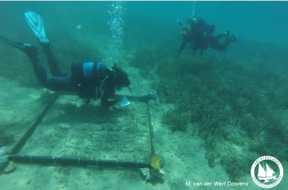 Эгейское море.jpg