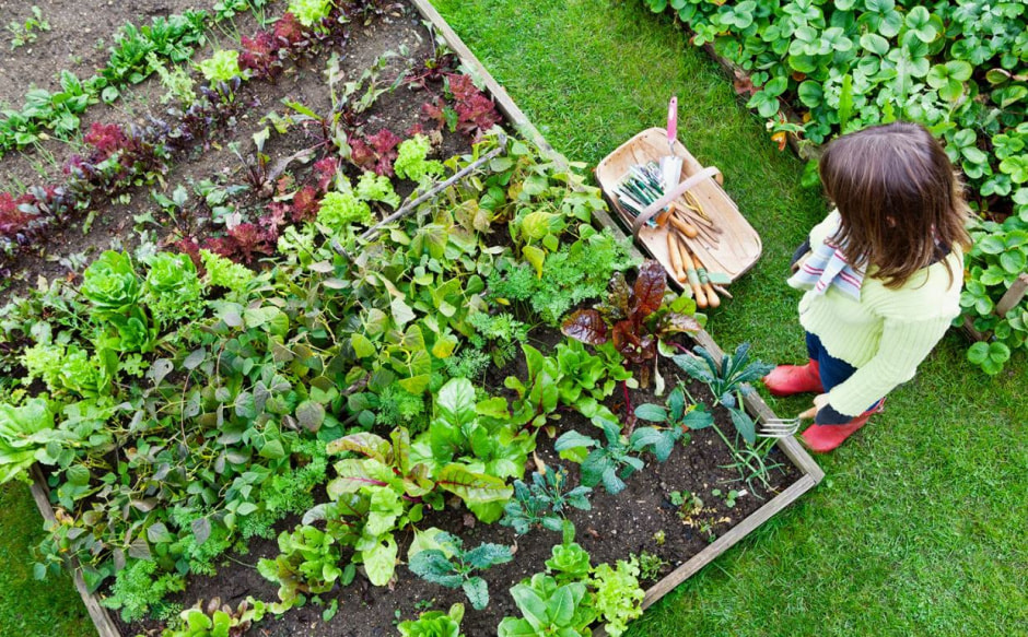 Лунный календарь рассада.jpg