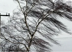 Штормовые выходные: Белгидромет объявил оранжевый уровень опасности на ближайшие дни