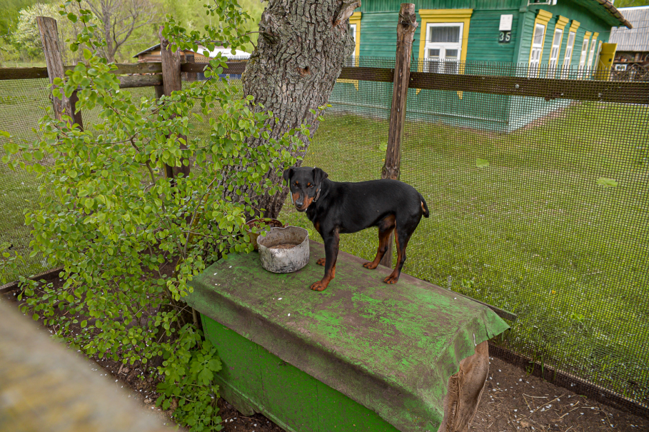 Антон Гнетько и хутор 15.png