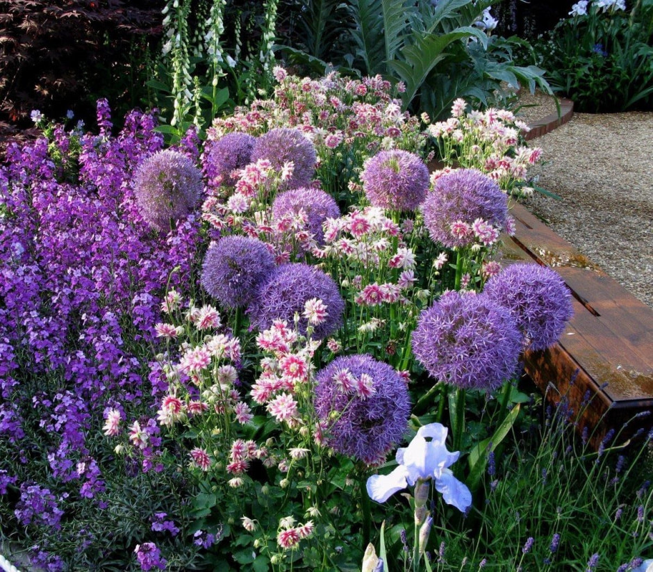 Высаживаем луковичные 8.jpg