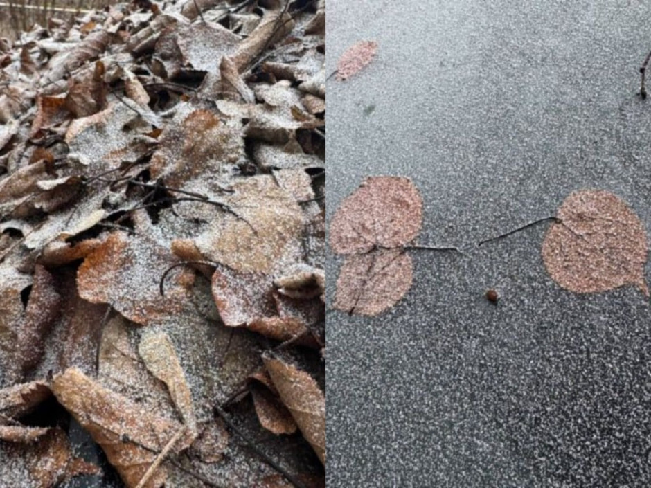 антропогенный снег на улице Киселева