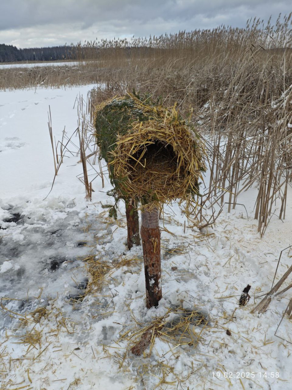 домик для уток.jpg