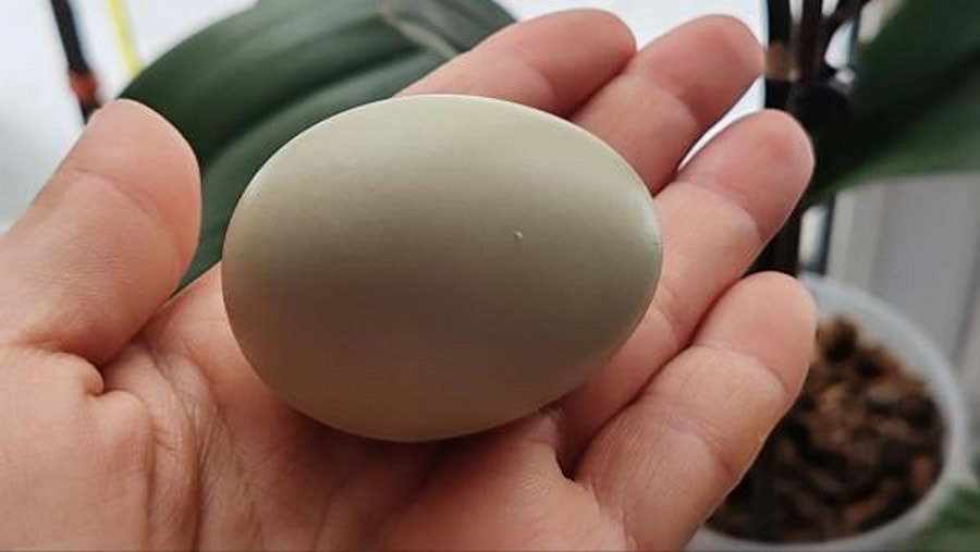 Пасха куличи яйца 7.jpg