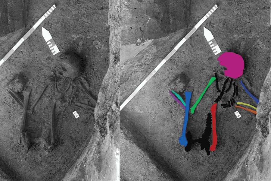 Древний скелет.png Древний скелет.png