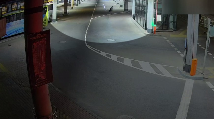 Семья минчан не досчиталась чемодана в своем багаже — поклажу прихватил на вокзале пьяный пенсионер.jpg Семья минчан не досчиталась чемодана в своем багаже — поклажу прихватил на вокзале пьяный пенсионер.jpg