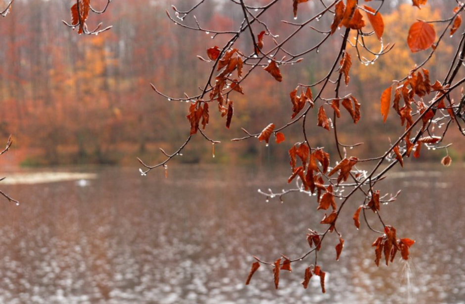 Сильный дождь осенний.jpg