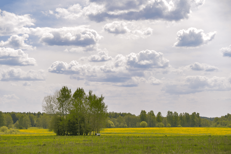 Белоруска в Шеметово 20.png