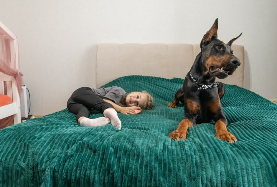 12-Эмилия и Рагнар.jpg