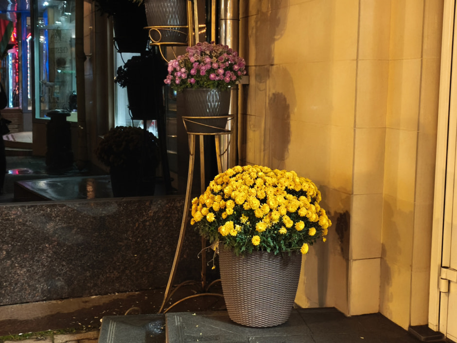 Xiaomi 15T Pro - вечер 5.jpg