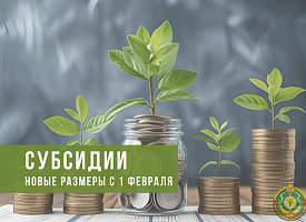 Почти 10 тысяч рублей: в Беларуси увеличат субсидии на открытие собственного дела