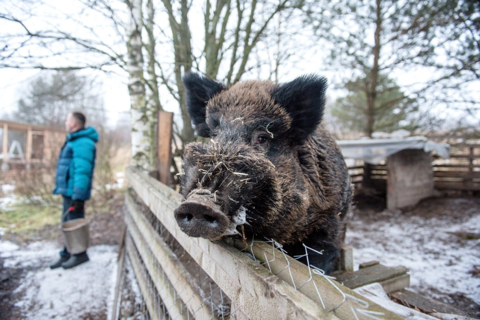 Семья Тузенковых в лесной глуши 5.jpg