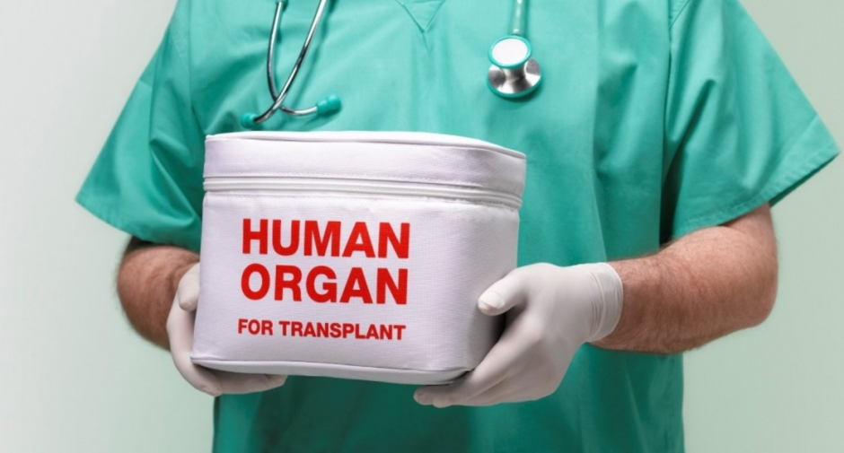 трансплантация