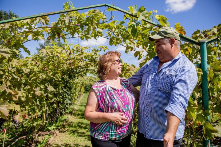 Фермер выращивает 280 сортов винограда 6_Елена и Николай Кастравец.jpg