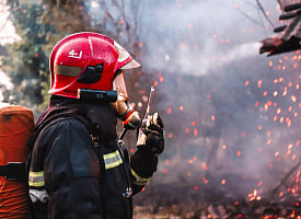 Чем заняты спасатели, когда не тушат пожар? От ИВЛ котёнку до психологической помощи при ЧС