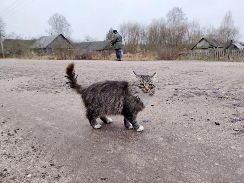 Проводник по болоту Кася 3.jpg