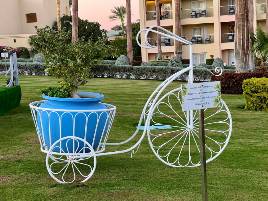 Отдых в Египте зимой 2024 32.jpg