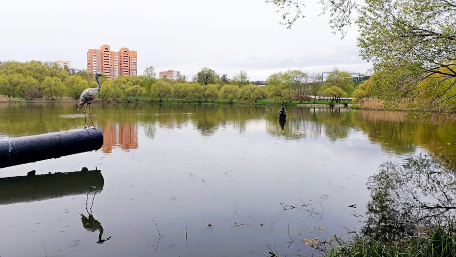 Топ-5 экотроп Минска 15_Дубки.jpg Топ-5 экотроп Минска 15_Дубки.jpg