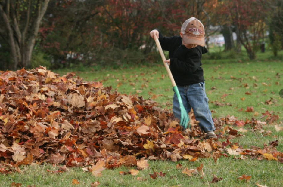 listva1.jpg listva1.jpg