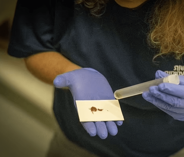 Археологи в 