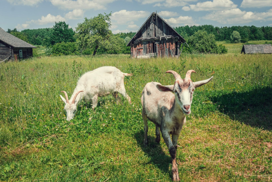 Как в деревне придумывают прозвища 4.jpg