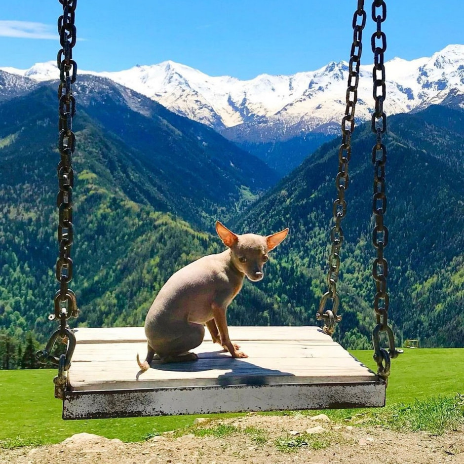 Современные кочевники и фильм Поехавшая 5.jpg