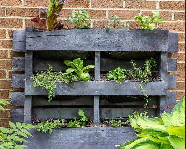 грядка из паллет