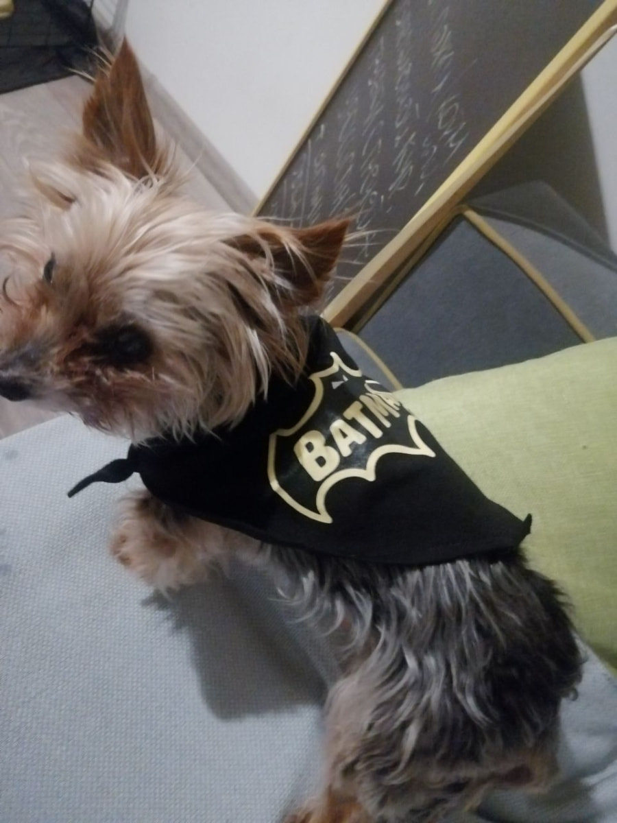 бэтмен.jpg бэтмен.jpg