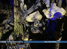 В Лельчицком районе Audi врезалась в дерево: погибли трое подростков
