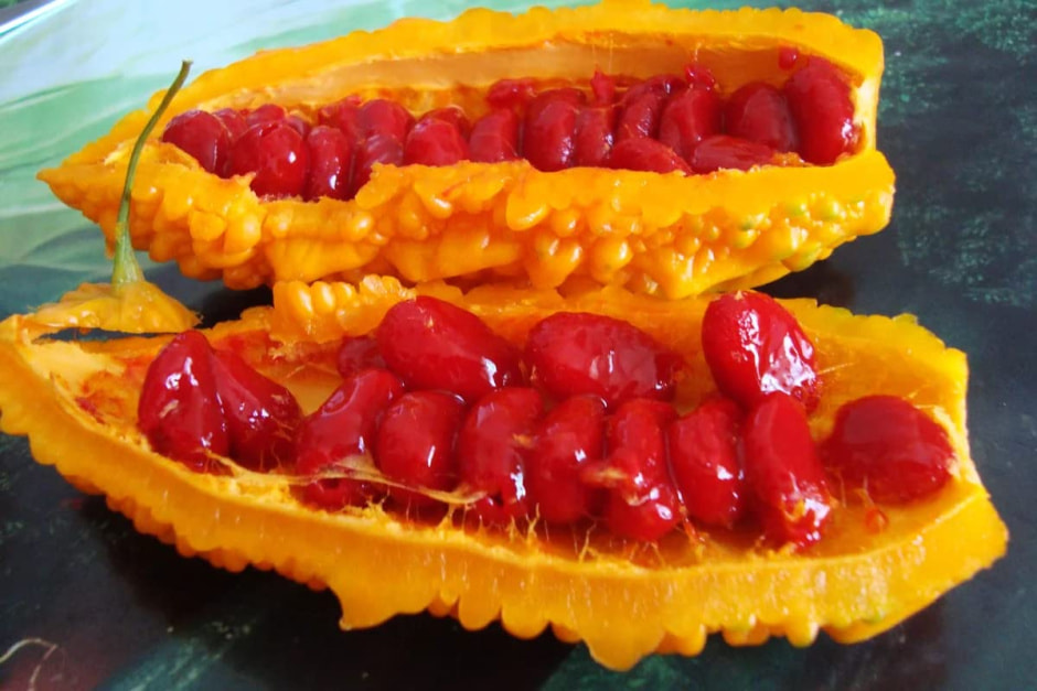 момордика 4.jpg