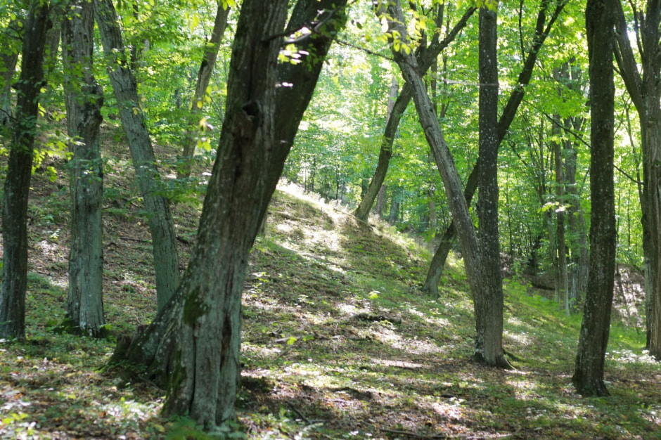 Едзем у Мазыр 34.jpg