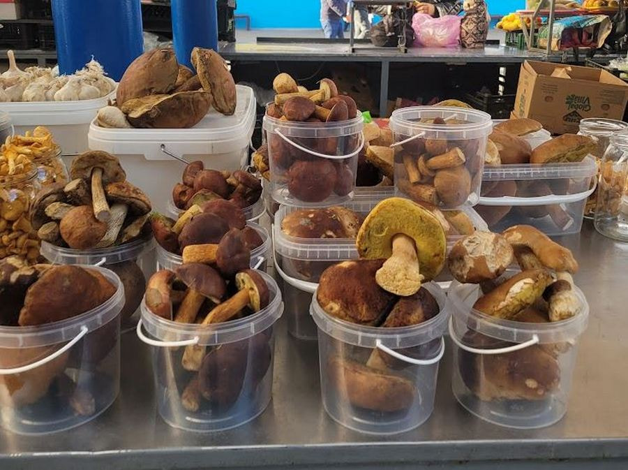 комаровка новая 2.JPG