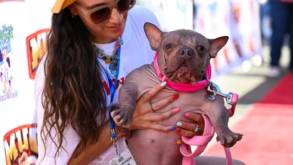 Уродливый пес