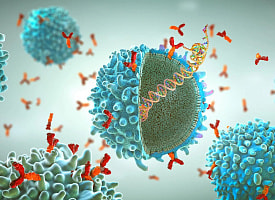 Ученые нашли уязвимые места вирусов ВИЧ и Эболы 