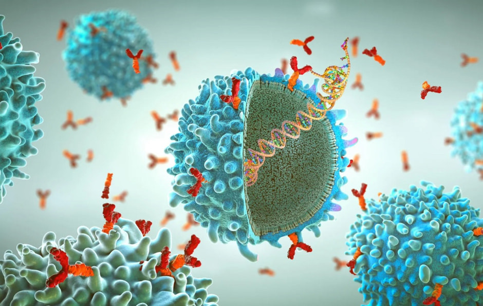 нанодиски и вирусы