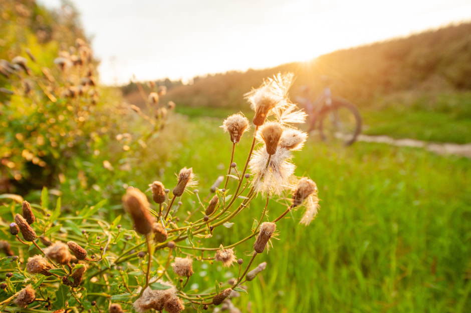 Какой будет погода в Беларуси на предстоящей неделе — с 29 июля по 4 августа Прогноз от синоптика Рябова.jpg