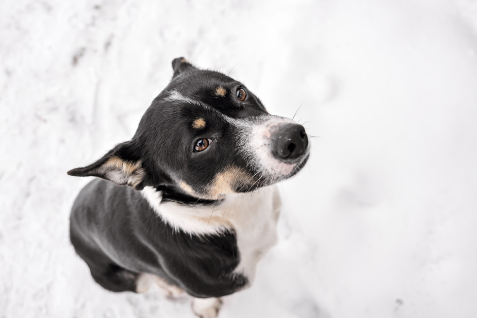 Хутор Скрабатуны 17-2.jpg