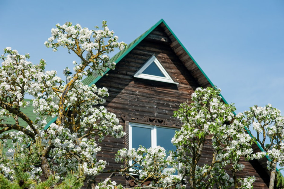 Семья Шокало и экзотический сад 18.jpg