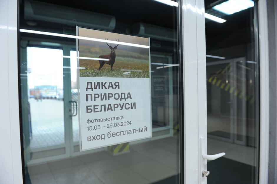 выставка Дикая природа Беларуси 14.JPG