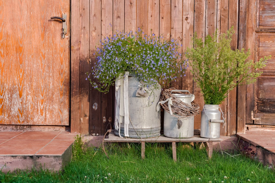 Лавандовый сад в Барово 7.jpg