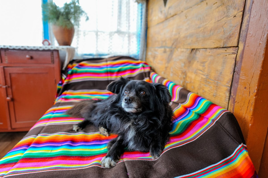 Деревня Ушковица 14.jpg