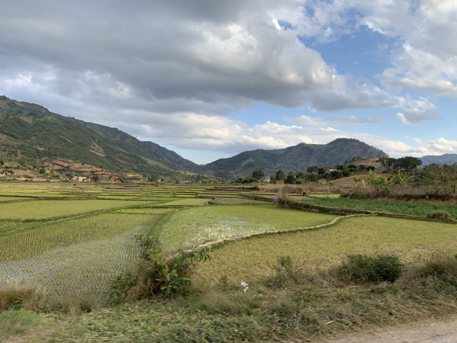 Мадагаскар (25).jpeg Мадагаскар (25).jpeg