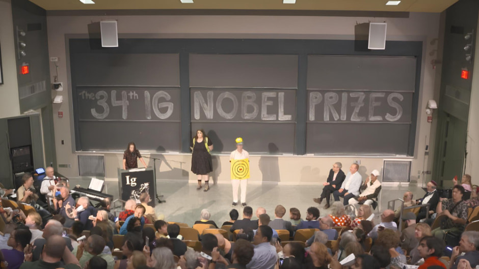 Шнобель 2024 1.jpg