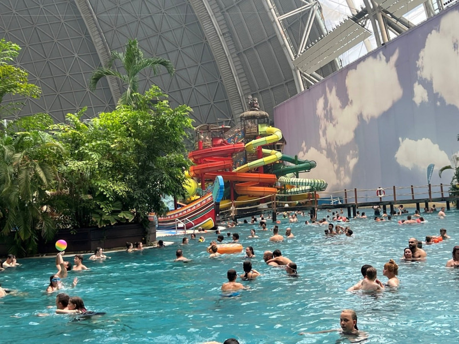 Крытый тропический лес 8.jpg