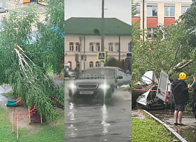 В Витебске ливень затопил автовокзал, а сильный ветер валил деревья – и на детскую площадку